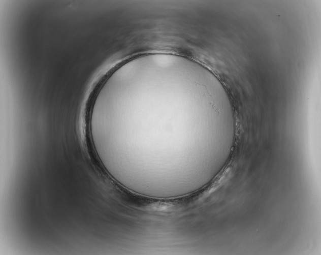 X0000093520294200711021051