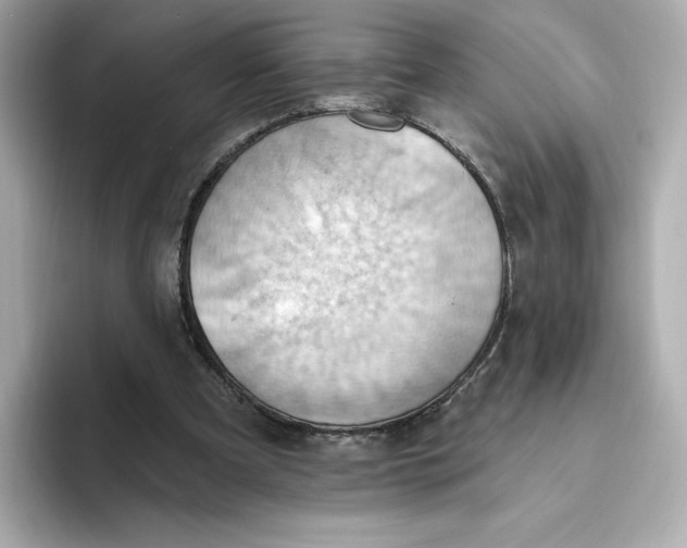 X0000093520297200711021051