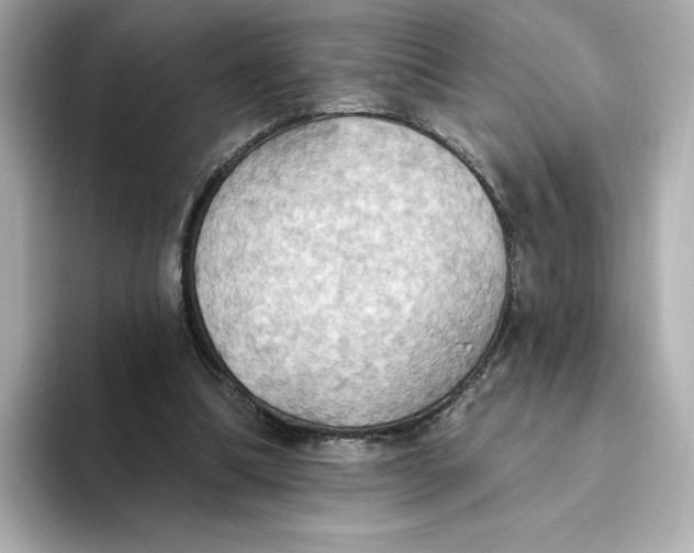 X0000093520298200711021051