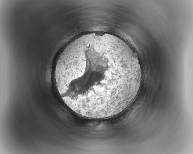 X0000093520299200711021051