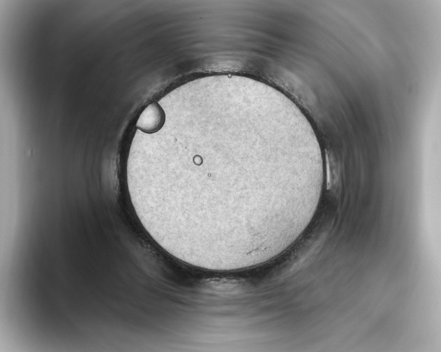 X0000093520300200711021051