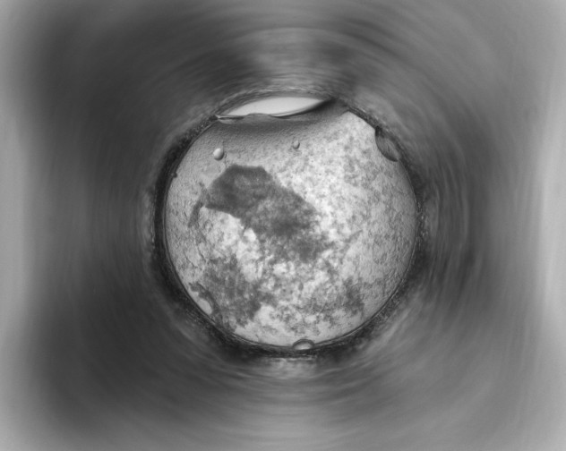 X0000093520303200711021051