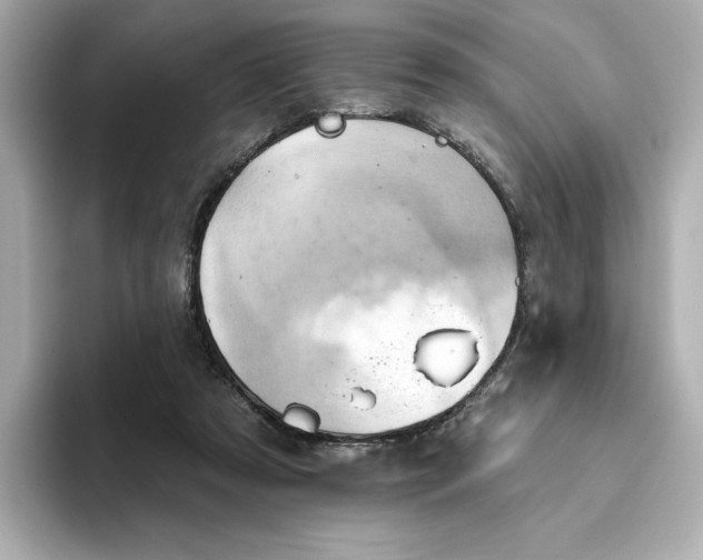 X0000093520305200711021051