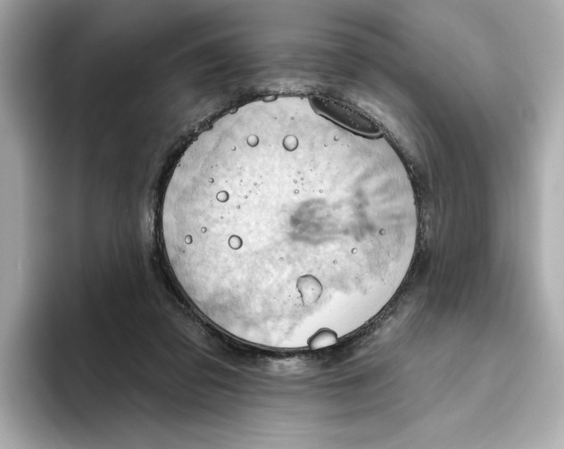 X0000093520309200711021051