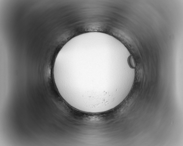 X0000093520310200711021051