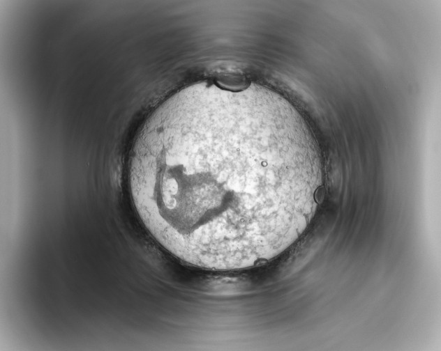 X0000093520315200711021051