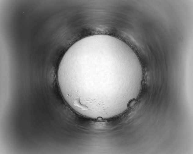 X0000093520318200711021051