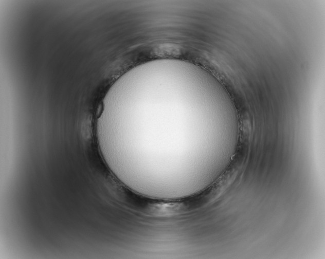 X0000093520323200711021051