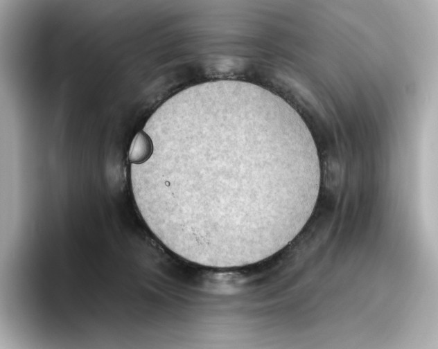 X0000093520324200711021050