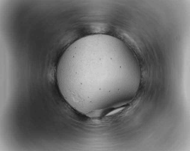 X0000093520325200711021050