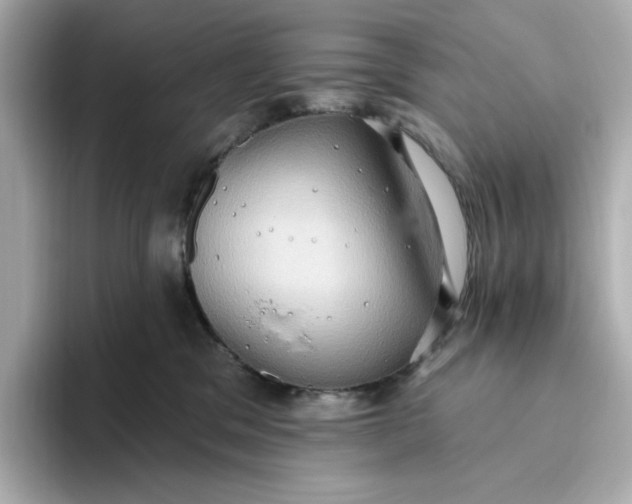 X0000093520329200711021050