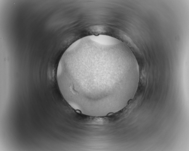 X0000093520330200711021050