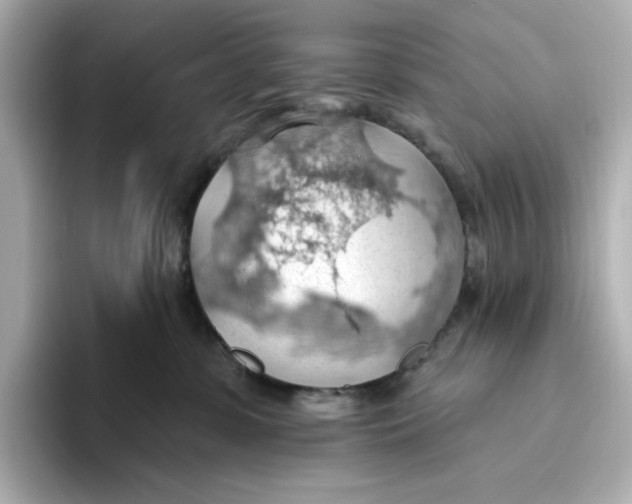 X0000093520331200711021050