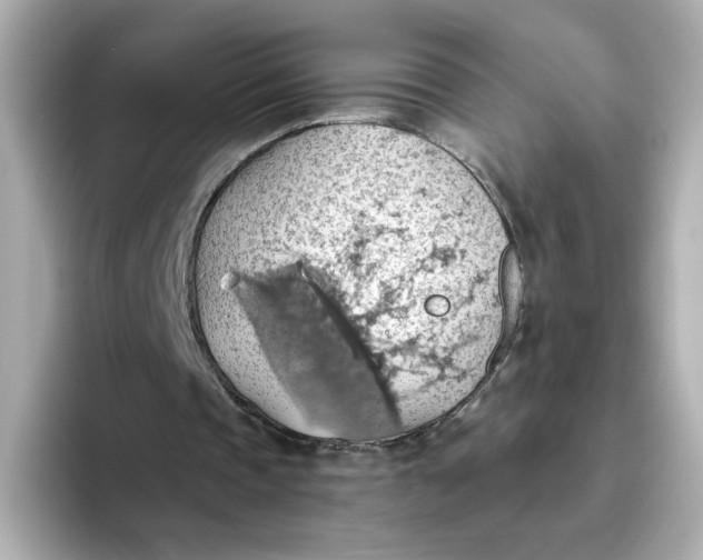 X0000093520337200711021050