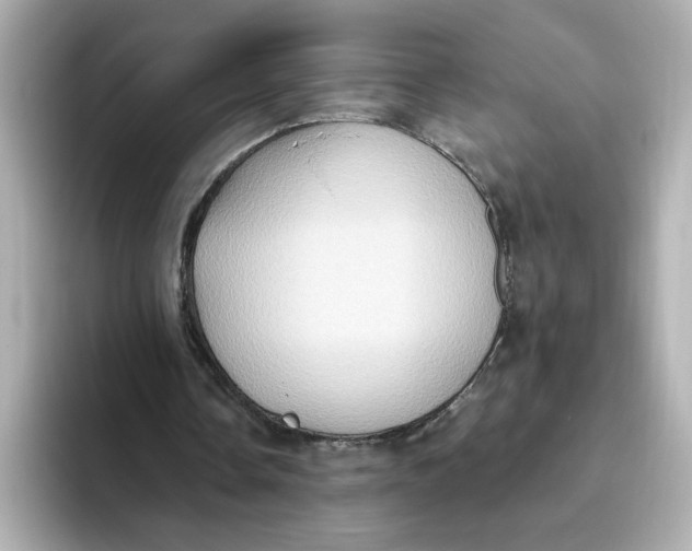 X0000093520338200711021050