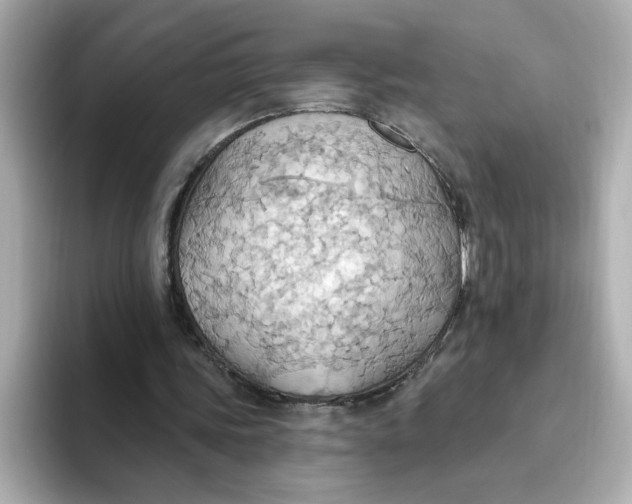 X0000093520339200711021050