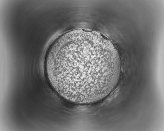 X0000093520341200711021050