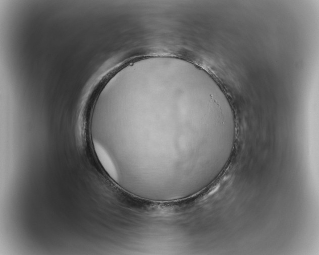 X0000093520343200711021050