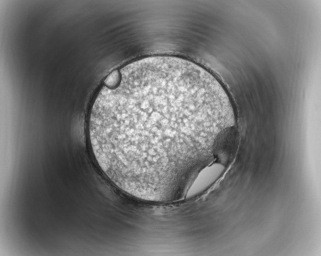 X0000093520345200711021050