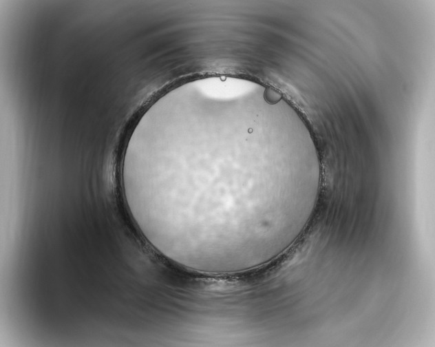 X0000093520347200711021050