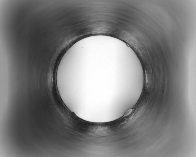 X0000093520348200711021050