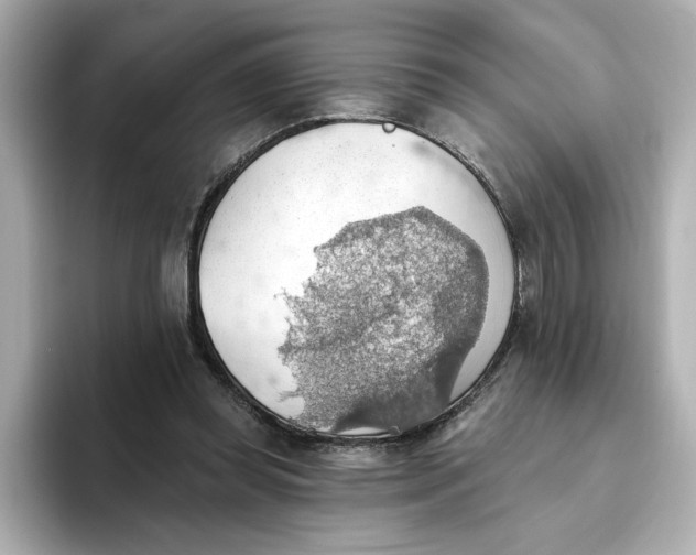 X0000093520349200711021050