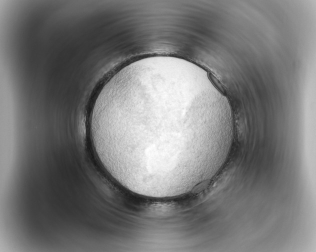 X0000093520350200711021050