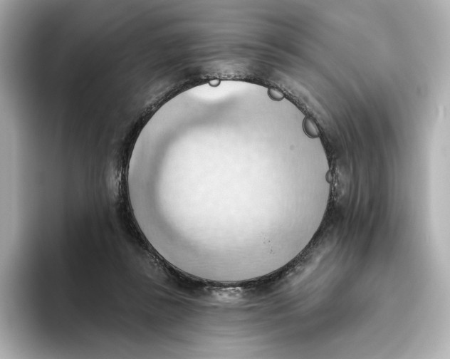 X0000093520355200711021050