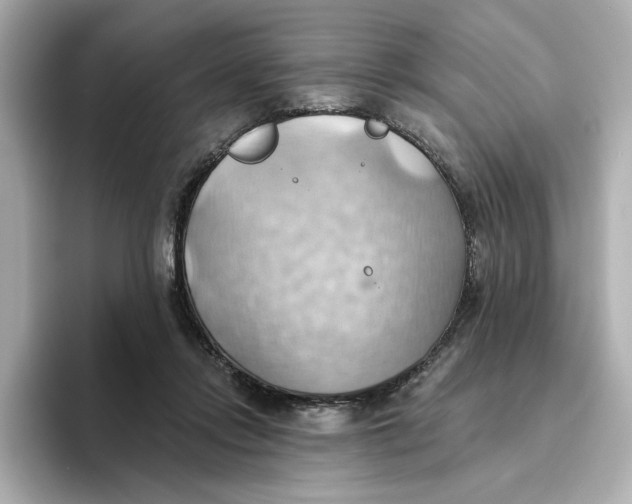 X0000093520358200711021050