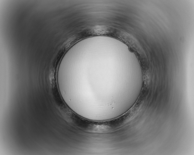 X0000093520360200711021050