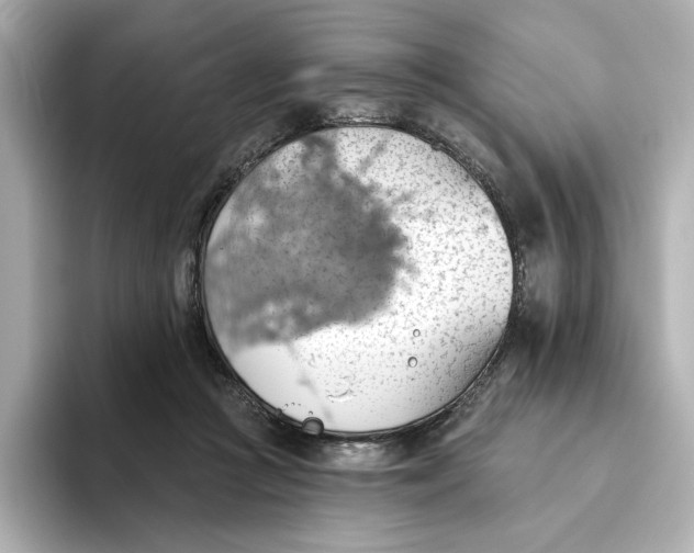 X0000093520361200711021050