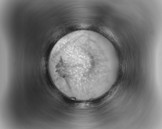 X0000093520366200711021050