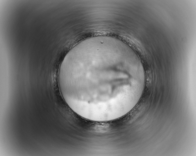 X0000093520369200711021050