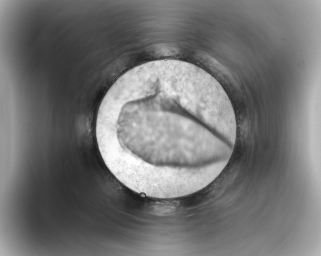 X0000093520373200711021050