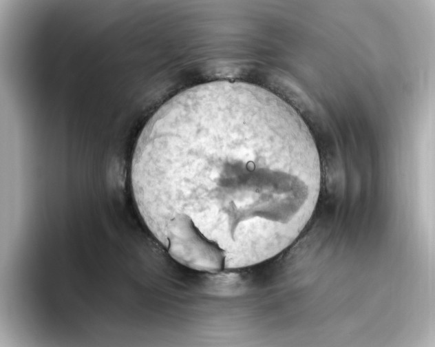 X0000093520374200711021050