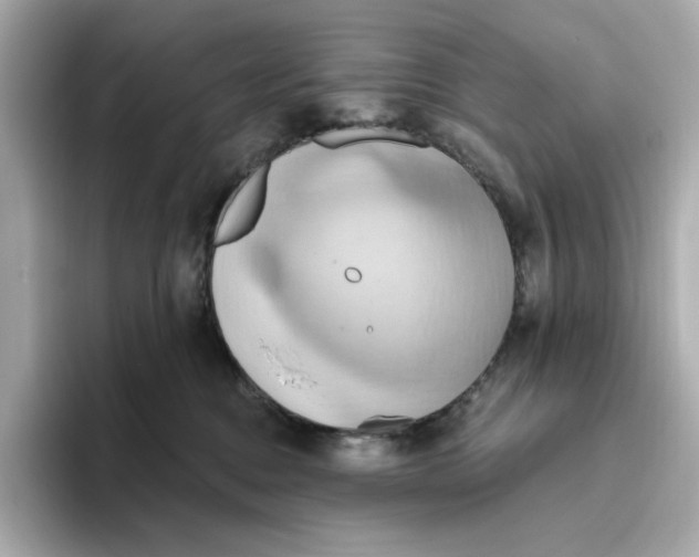 X0000093520376200711021050