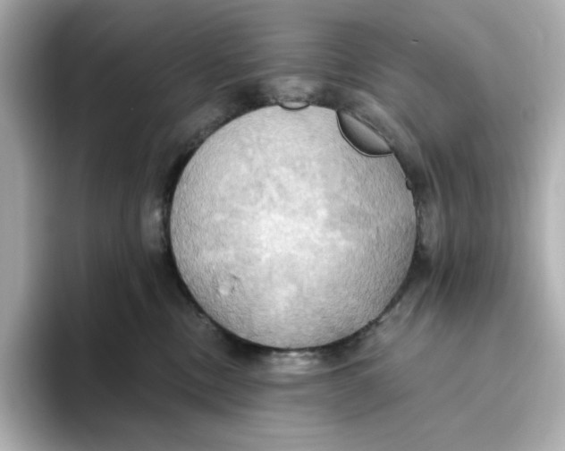 X0000093520378200711021050