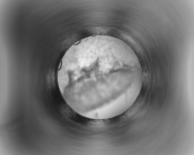 X0000093520381200711021050