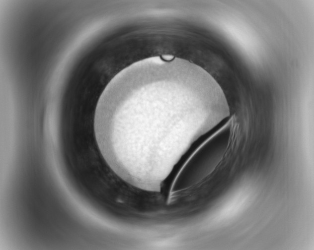 X0000093520383200711021050