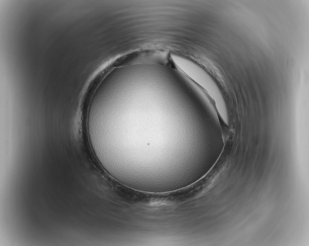 X0000093520388200711021050