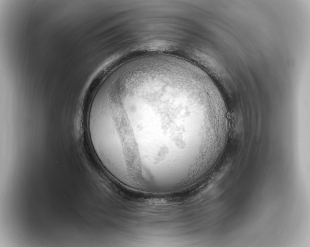 X0000093520392200711021050