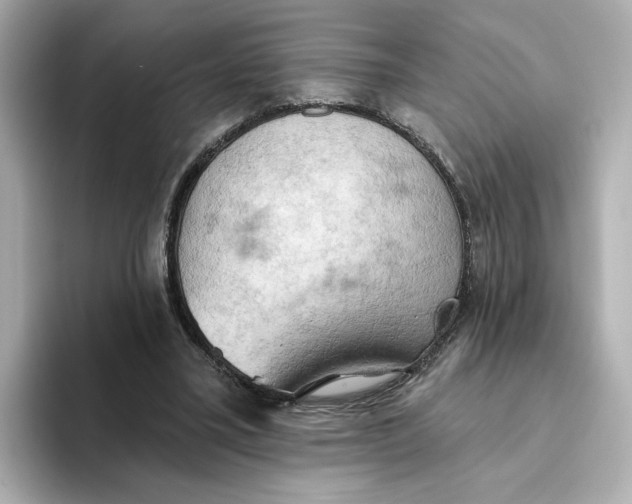 X0000093520395200711021050