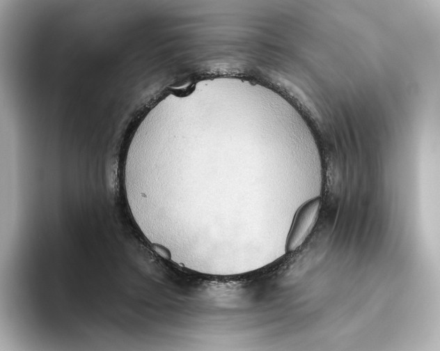 X0000093520403200711021050