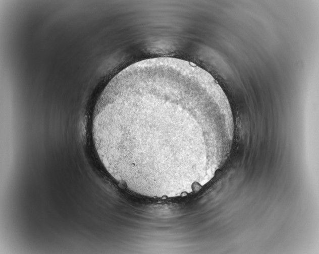 X0000093520404200711021050