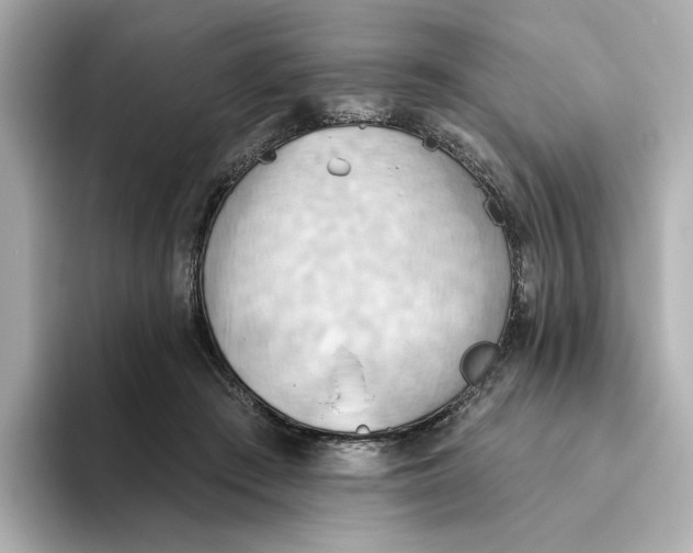 X0000093520409200711021050