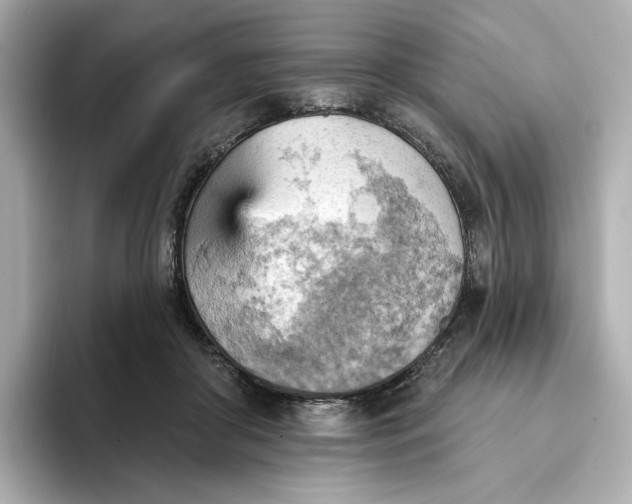 X0000093520410200711021049