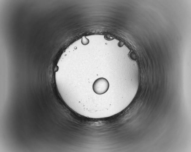 X0000093520411200711021049