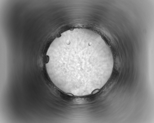 X0000093520413200711021049