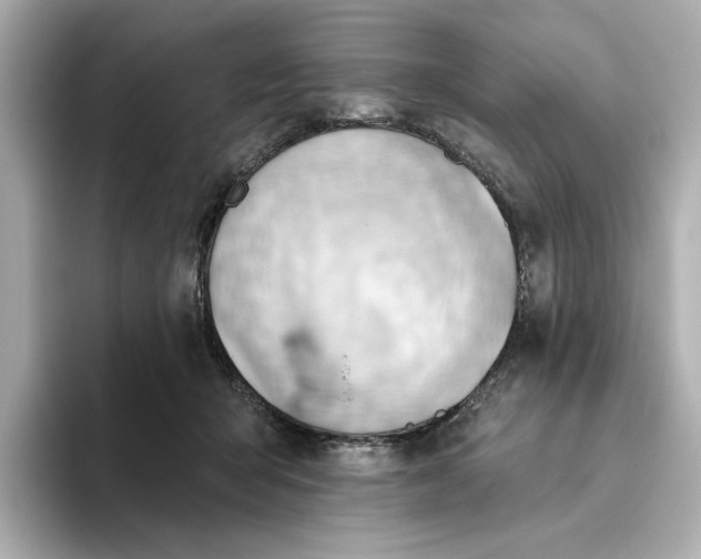 X0000093520415200711021049