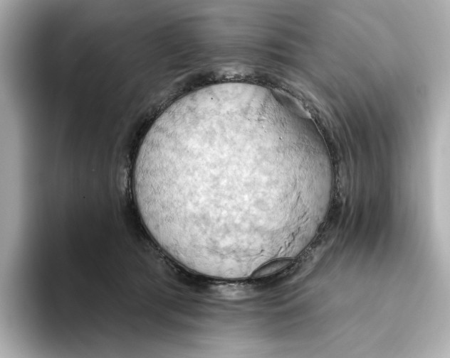 X0000093520417200711021049